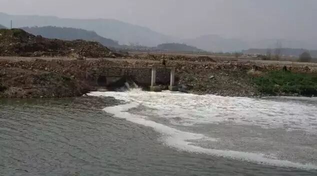行动派 | 江湖召集令——河流守望者招募开始啦