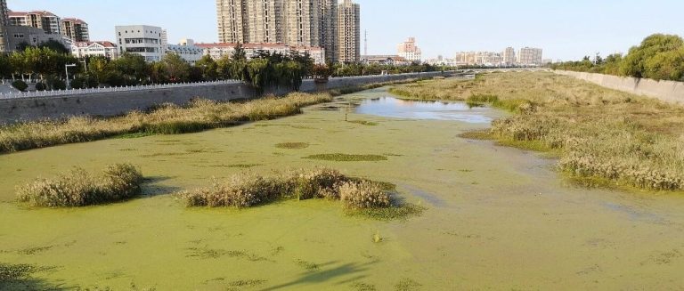 “保护水源我是行动者”系列报告1:口渴的中国,水源地为何被成批撤销?
