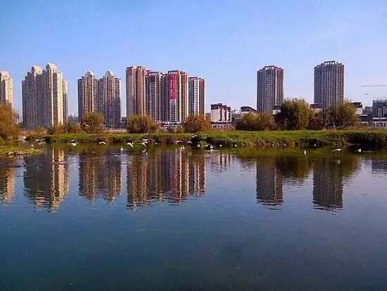 报告 | 武汉城市圈房地产供应链企业环境信息公开报告