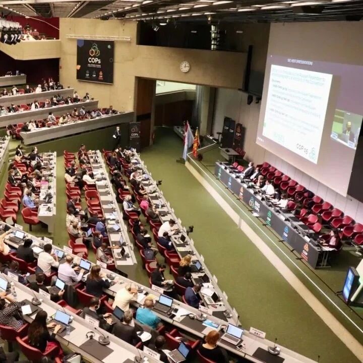 新闻速递 | 今年的国际化学品三公约缔约方大会取得了哪些进展?