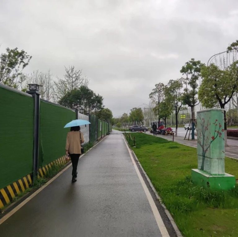 道路治理 | 小草也有生命，请加倍爱惜