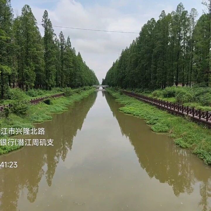 行动简报 | 行澈环保2023年6月法律政策项目简报
