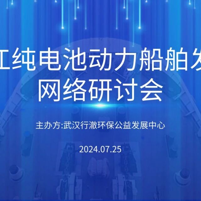 会议回顾｜电化长江研讨会