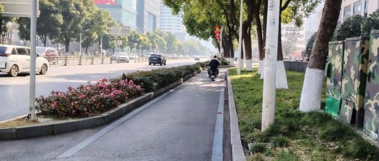 项目报告 | 2024武汉市江汉区慢行交通道路及设施评估报告
